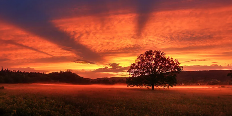 Fields on fire!