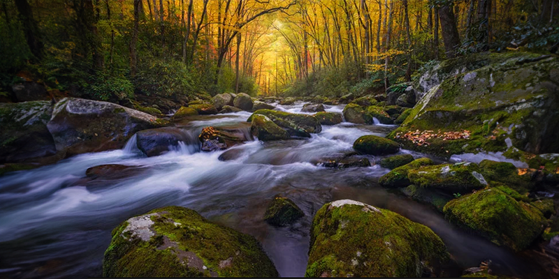 Stream in Mountains